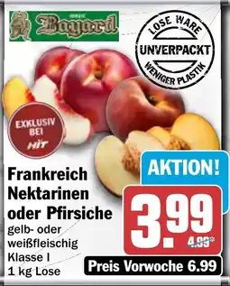 HIT Bayard Frankreich Nektarinen oder Pfirsiche Angebot