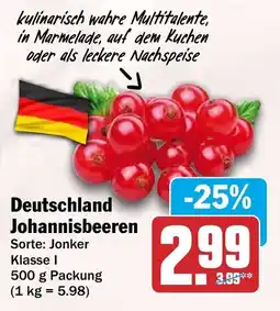 HIT Deutschland Johannisbeeren Angebot