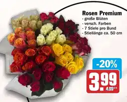 HIT Rosen Premium Angebot