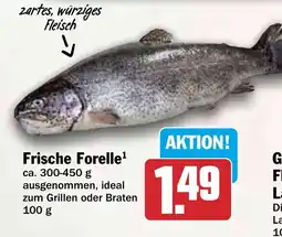 HIT Frische Forelle Angebot