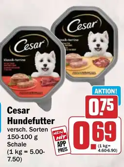 HIT Cesar Hundefutter Angebot