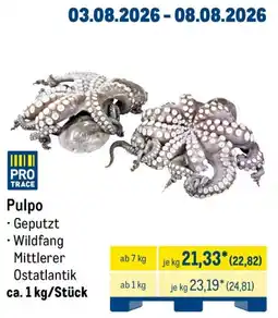 METRO Pulpo Angebot