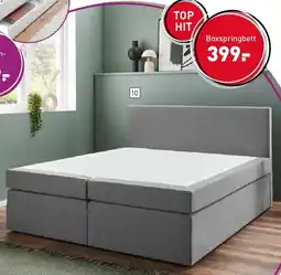 Möbel Martin Boxspringbett Angebot