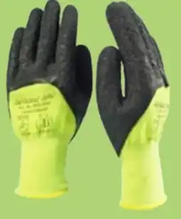Thomas Philipps Grüner Jan Latex-Gartenhandschuhe Angebot