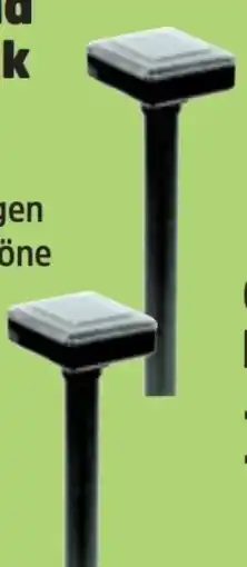 Thomas Philipps Solar Mäuse-Maulwurfschreck Angebot
