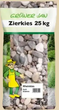 Thomas Philipps Grüner Jan Buntkies Angebot