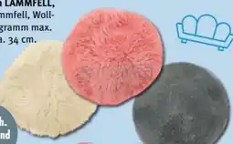 Trends Möbel Lammfell-Sitzkissen Angebot