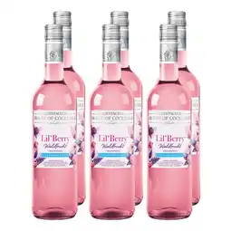 Netto Marken-Discount Lil´Berry Waldfrucht alkoholfrei 6 x 0,75 Liter Angebot