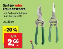 Thomas Philipps Gartenschere oder traubenschere Angebot