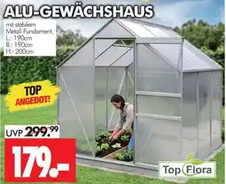 Wreesmann Top flora alu-gewächshaus Angebot