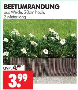 Wreesmann Beetumrandung Angebot
