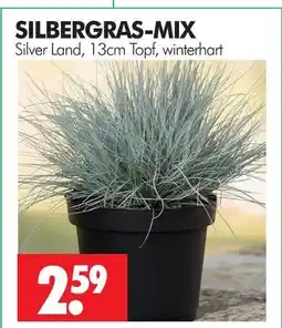 Wreesmann Silver land silbergras-mix Angebot