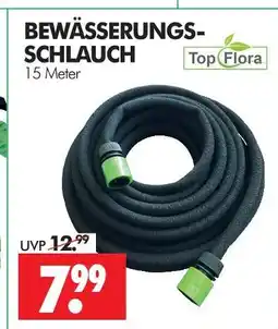 Wreesmann Top flora bewässerungsschlauch Angebot