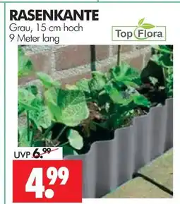 Wreesmann Top flora rasenkante Angebot