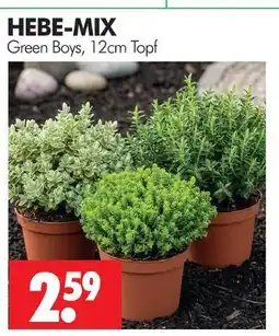 Wreesmann Hebe-mix Angebot