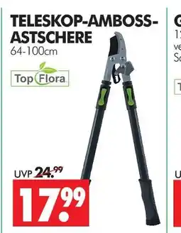Wreesmann Top flora teleskop-amboss-astschere Angebot