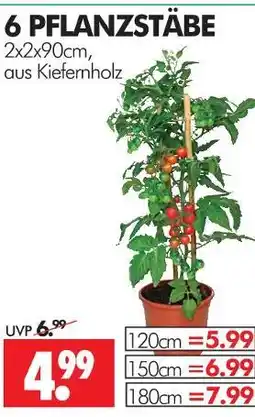 Wreesmann Pflanzstäbe Angebot