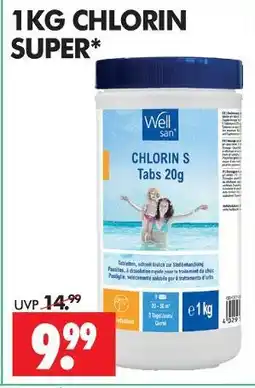 Wreesmann Wellsan chlorin Angebot