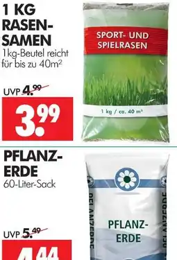 Wreesmann Rasensamen Angebot