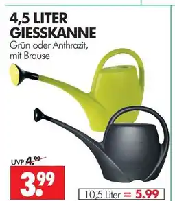 Wreesmann Giesskanne grün Angebot
