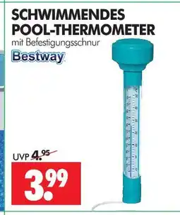 Wreesmann Bestway schwimmendes pool-thermometer Angebot