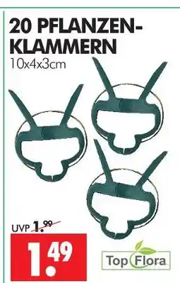 Wreesmann Top flora pflanzen-klammern Angebot