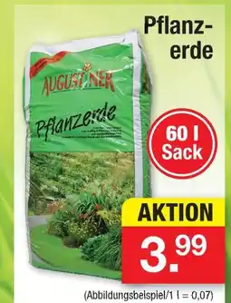 Zimmermann Augustiner pflanzerde Angebot