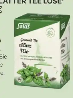 Vitalia Salus bio gourmet minz trio tee Angebot