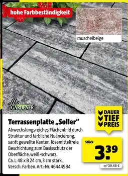 Hagebau Mr. gardener terrassenplatte „soller“ Angebot