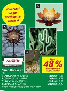 toom Baumarkt Toom kaktus Angebot