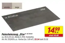 toom Baumarkt Feinsteinzeug star Angebot