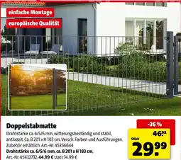 Hagebau Doppelstabmatte Angebot