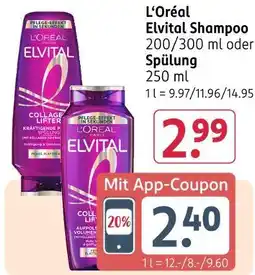 Rossmann Loreal elvital shampoo Angebot