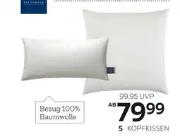 XXXLutz Billerbeck kopfkissen nena 40 x 80 cm Angebot