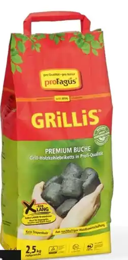 OBI proFagus Grillis Premium Buchen Grill-Holzkohlebriketts Angebot