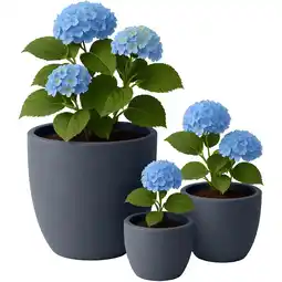 Netto Marken-Discount CLP 3er Set Pflanzkübel 1 Farbe:anthrazit Angebot