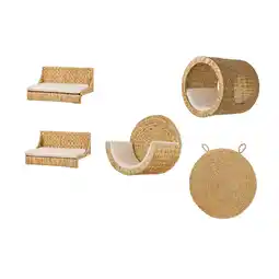 Netto Marken-Discount Rohrschneider Kletterwand Premium Angebot