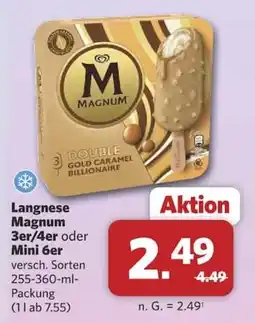 Combi Langnese Magnum Angebot