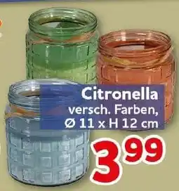 CENTERSHOP Citronella Angebot