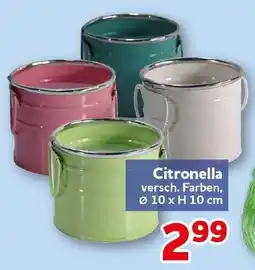 CENTERSHOP Citronella Angebot