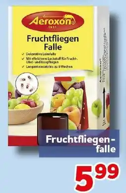 CENTERSHOP Aeroton Fruchtfliegen-Falle Angebot
