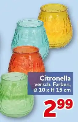 CENTERSHOP Citronella Angebot