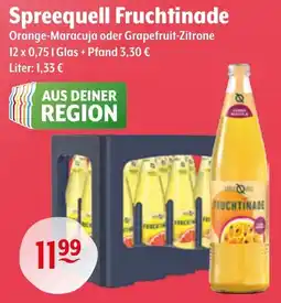 Getränke Hoffmann Spreequell Fruchtinade Angebot