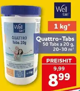 CENTERSHOP Well san Quattro-Tabs Angebot