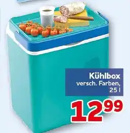 CENTERSHOP Kühlbox Angebot