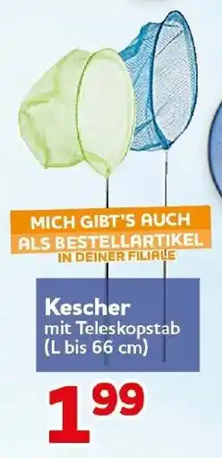 CENTERSHOP Kescher mit Teleskopstab Angebot