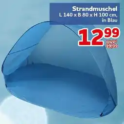 CENTERSHOP Strandmuschel Angebot