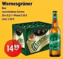 Getränke Hoffmann Wernesgrüner Bier Angebot