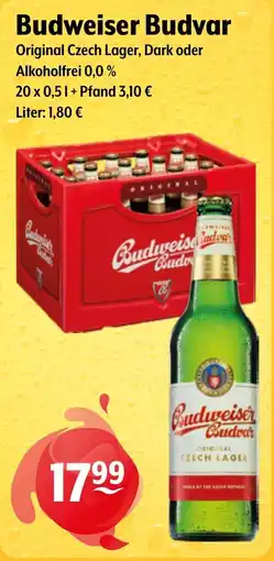 Getränke Hoffmann Budweiser Budvar Original Czech Lager Angebot