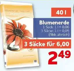 CENTERSHOP Blumenerde Universal Angebot